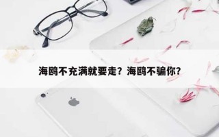 海鸥不充满就要走？海鸥不骗你？