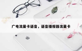 广电流量卡语音，语音播报器流量卡