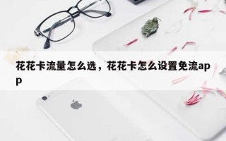 花花卡流量怎么选，花花卡怎么设置免流app