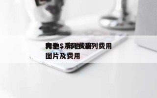 奔驰S系列费用大全，奔驰s系列费用和图片及费用