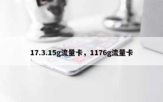 17.3.15g流量卡，1176g流量卡