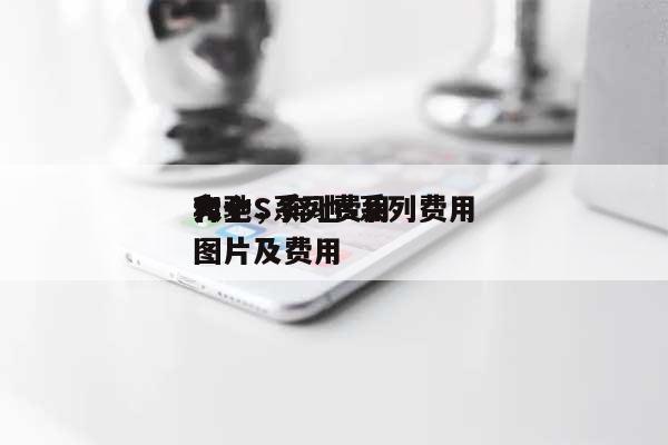 奔驰S系列费用大全，奔驰s系列费用和图片及费用-第1张图片