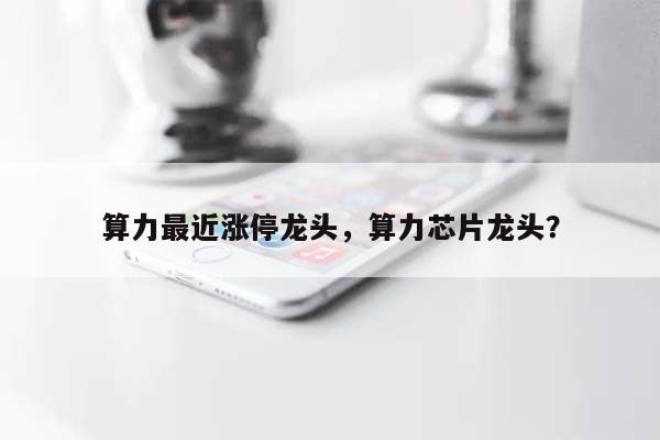 算力最近涨停龙头，算力芯片龙头？-第1张图片