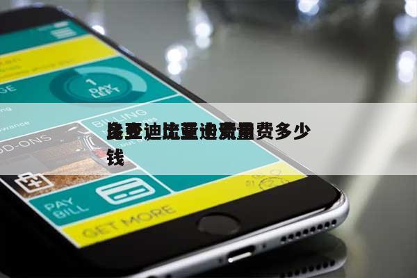 比亚迪流量卡费用多少，比亚迪流量费多少钱-第1张图片