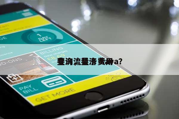 斐济流量卡费用查询，斐济 kava？-第1张图片